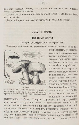 Мицуль М.С. Домашний огород / С планом огорода и 125 оригинальными рисунками... СПб., 1867.